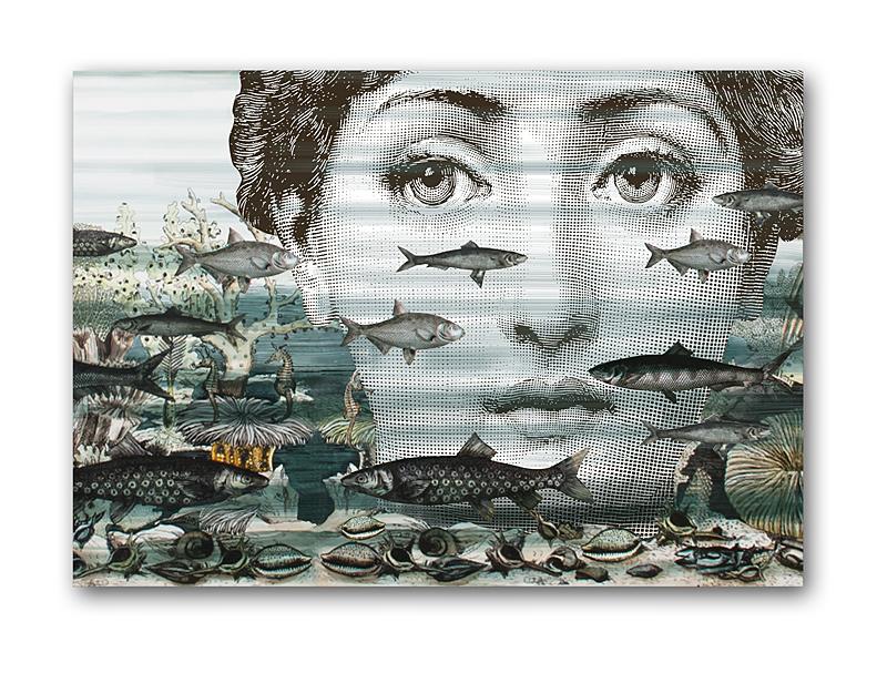 Постер Fornasetti and fish A3 Постер Fornasetti and fish A3