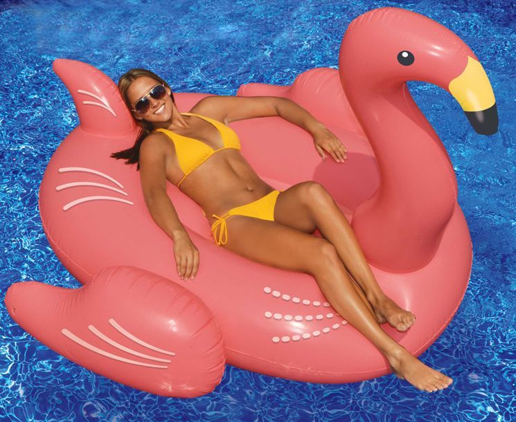 Pool toys pounded glamour