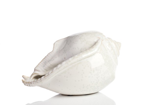 Предмет декора статуэтка ракушка Marine Shells White Предмет декора статуэтка ракушка Marine Shells White