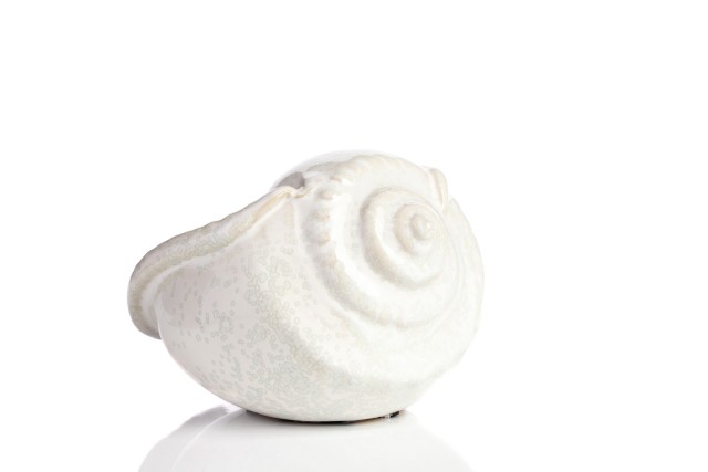 Предмет декора статуэтка ракушка Marine Shells White Предмет декора статуэтка ракушка Marine Shells White