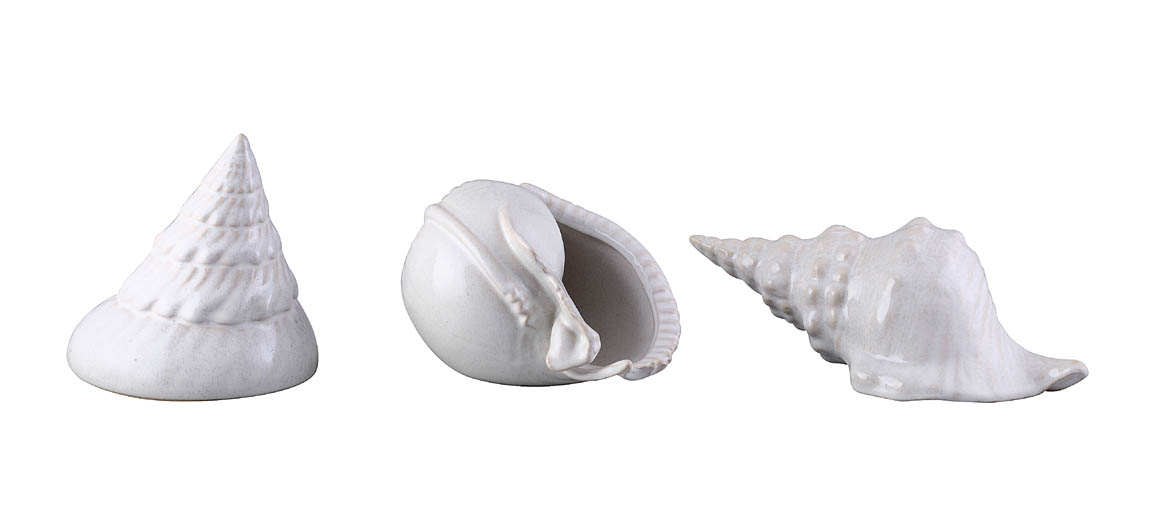 Предмет декора статуэтка ракушка Marine Shells White Предмет декора статуэтка ракушка Marine Shells White