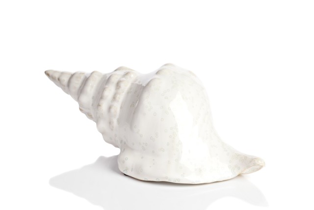 Предмет декора статуэтка ракушка Marine Shells White Предмет декора статуэтка ракушка Marine Shells White
