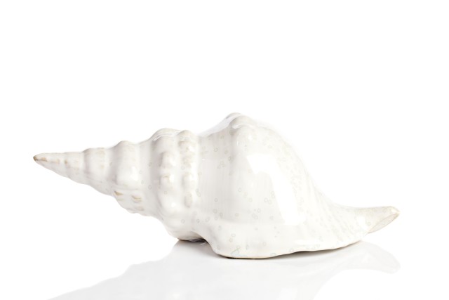 Предмет декора статуэтка ракушка Marine Shells White Предмет декора статуэтка ракушка Marine Shells White