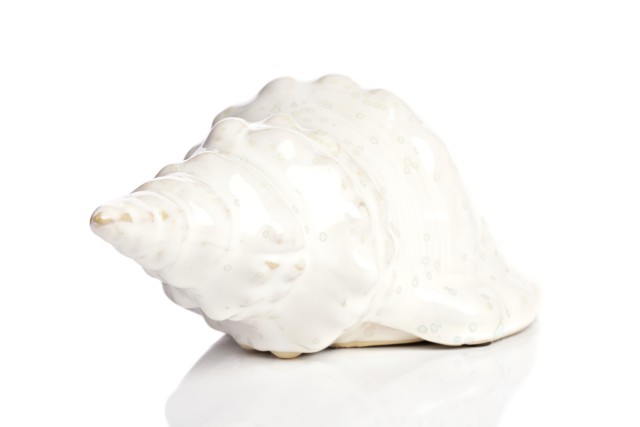 Предмет декора статуэтка ракушка Marine Shells White Предмет декора статуэтка ракушка Marine Shells White