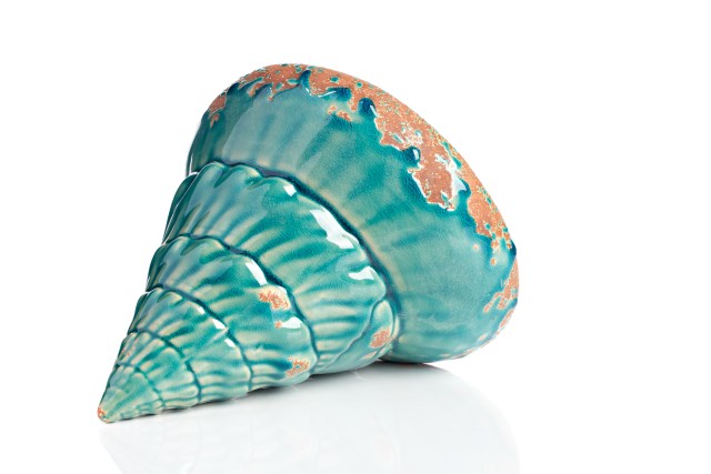 Предмет декора статуэтка ракушка Marine Shells Teal Предмет декора статуэтка ракушка Marine Shells Teal