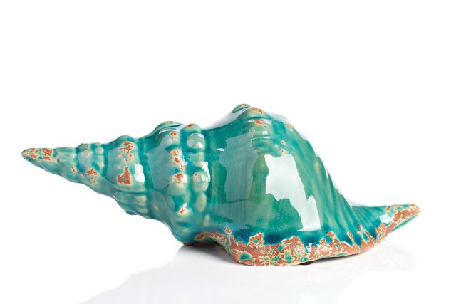 Предмет декора статуэтка ракушка Marine Shells Teal Предмет декора статуэтка ракушка Marine Shells Teal